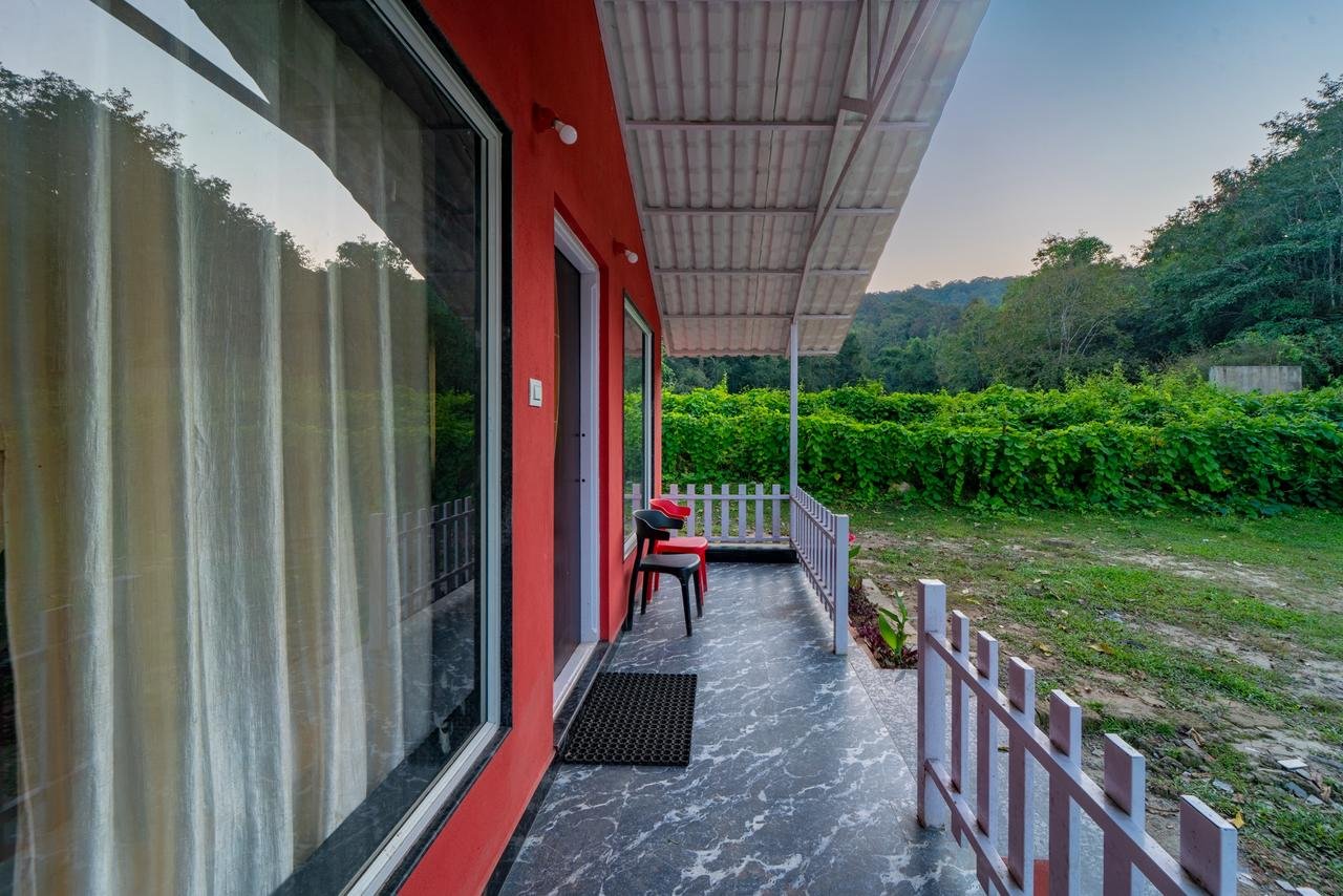 Jungle Hammock Relaxation